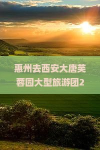 惠州去西安大唐芙蓉园大型旅游团