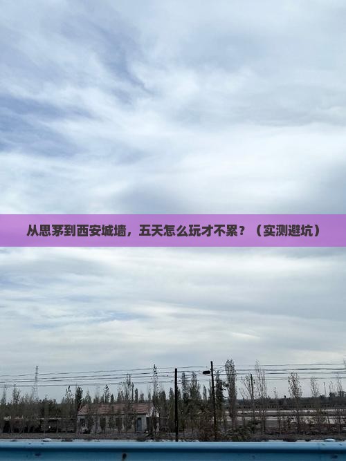 思茅去西安城墙五日游