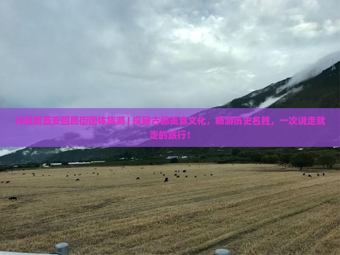 许昌到西安回民街团体旅游