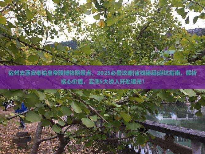 宿州去西安秦始皇帝陵博物院景点 宿州去西安秦始皇帝陵博物院景点
