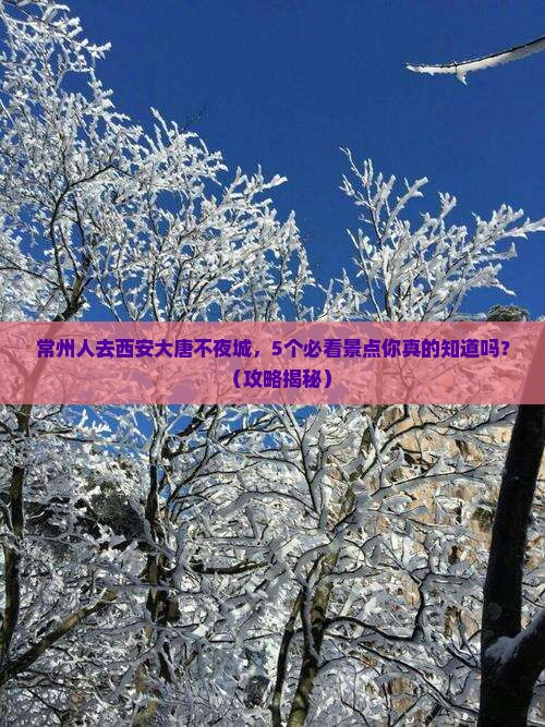 常州到西安大唐不夜城旅行社