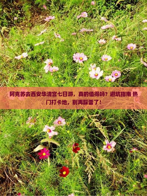 阿克苏去西安华清宫七日游