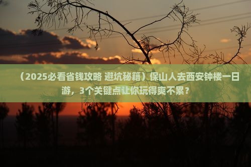 保山到西安钟楼一日游