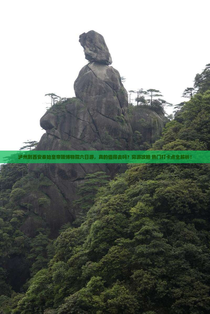泸州到西安秦始皇帝陵博物院六日游