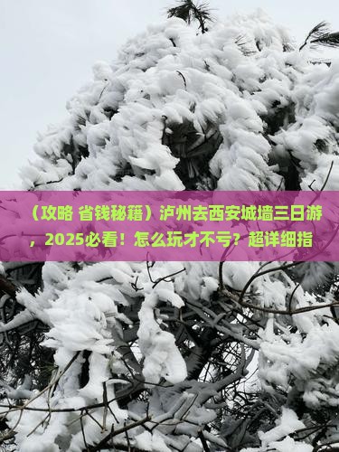 泸州去西安城墙三日游