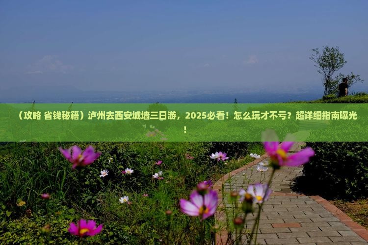 泸州去西安城墙三日游