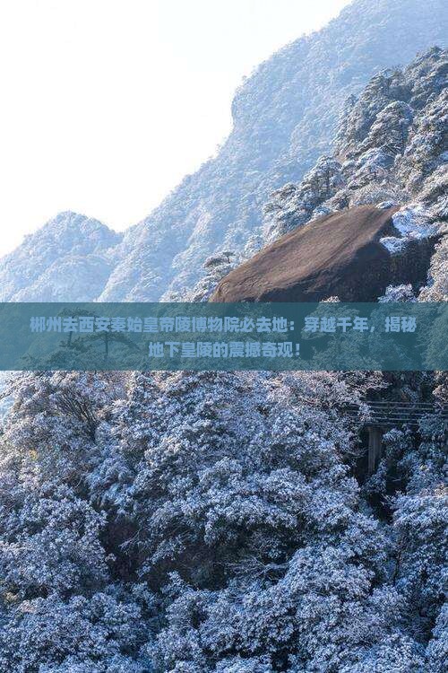 郴州去西安秦始皇帝陵博物院必去地