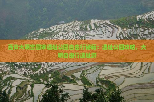 清徐去西安大明宫国家遗址公园自由行