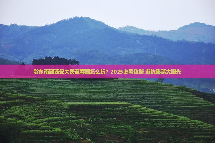 黔东南到西安大唐芙蓉园旅行社