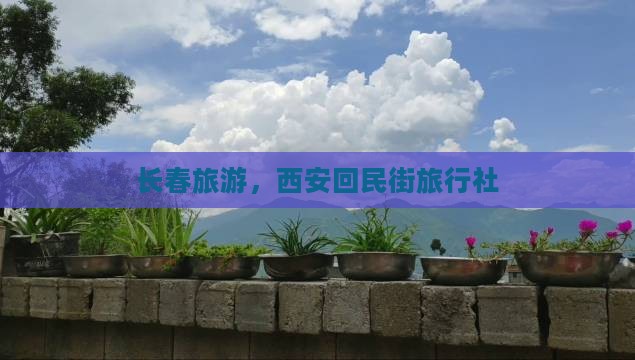 长春去西安回民街旅行社