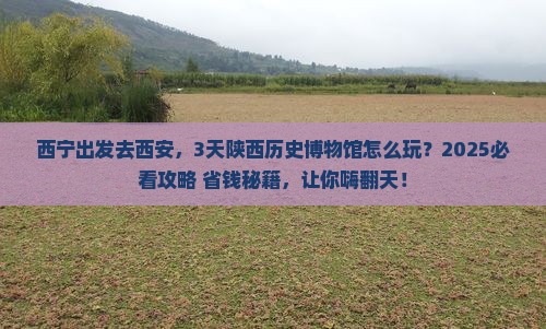西宁去西安陕西历史博物馆三日游