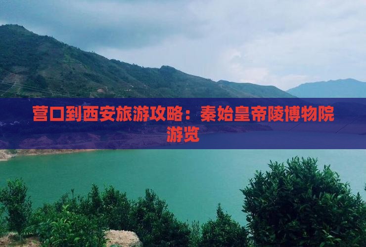 营口到西安秦始皇帝陵博物院旅游