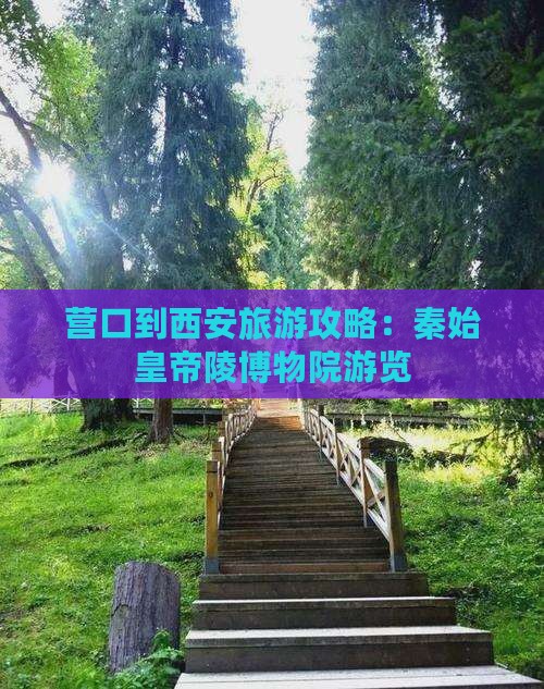 营口到西安秦始皇帝陵博物院旅游