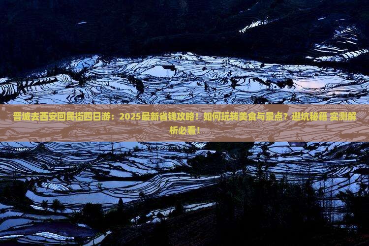 晋城去西安回民街四日游