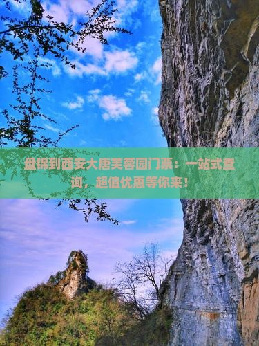 盘锦到西安大唐芙蓉园门票