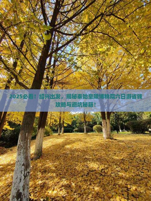 绍兴去西安秦始皇帝陵博物院六日游