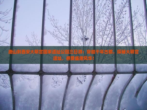 唐山到西安大明宫国家遗址公园三日游