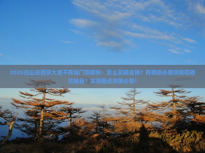 白山去西安大唐不夜城门票