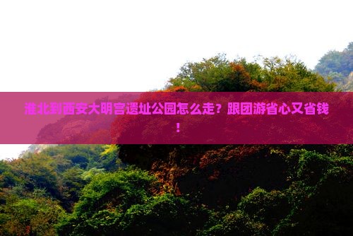 淮北到西安大明宫国家遗址公园旅行社