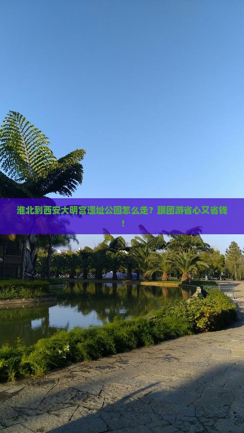 淮北到西安大明宫国家遗址公园旅行社