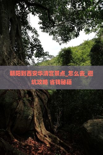 朝阳到西安华清宫景点