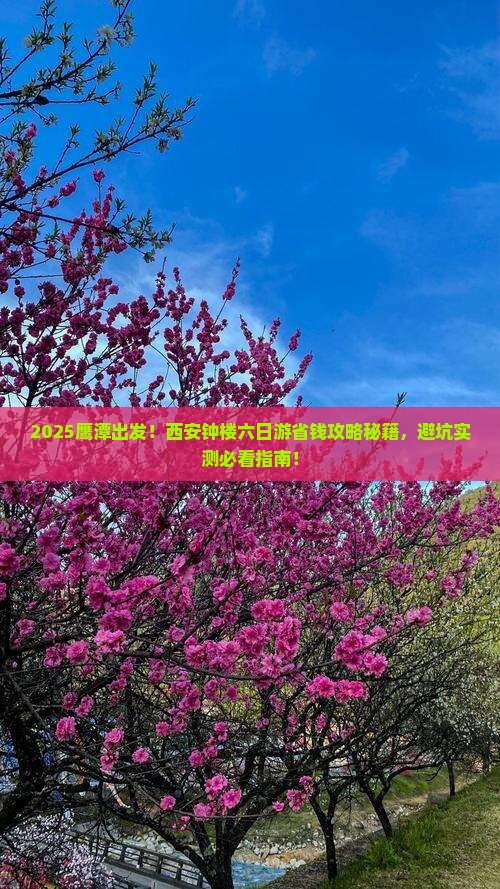 鹰潭去西安钟楼六日游