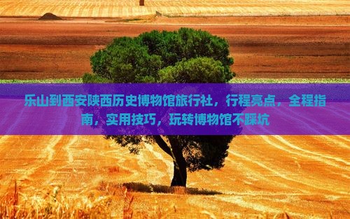 乐山到西安陕西历史博物馆旅行社