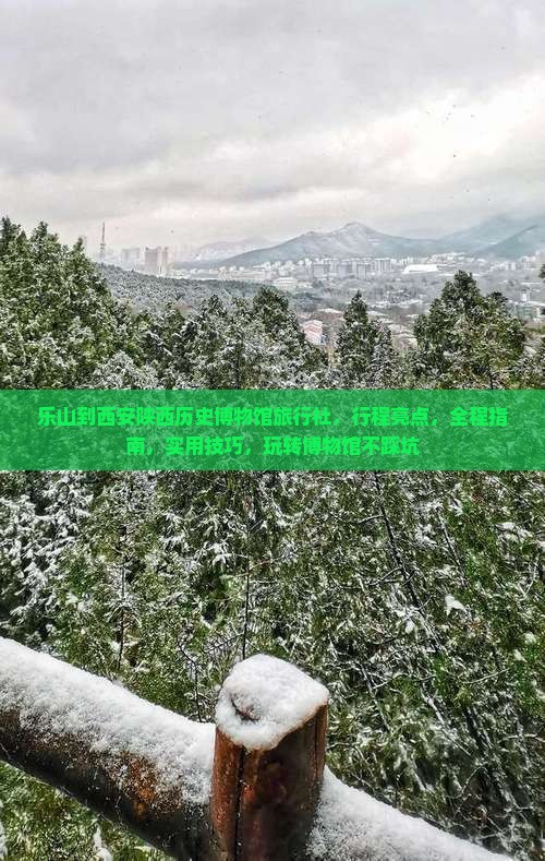 乐山到西安陕西历史博物馆旅行社