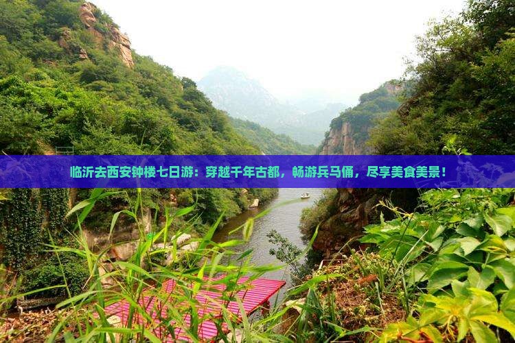临沂去西安钟楼七日游