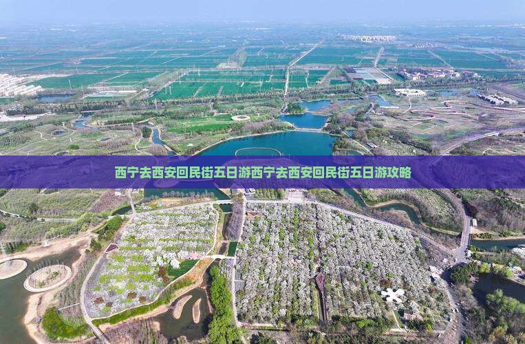 西宁去西安回民街五日游