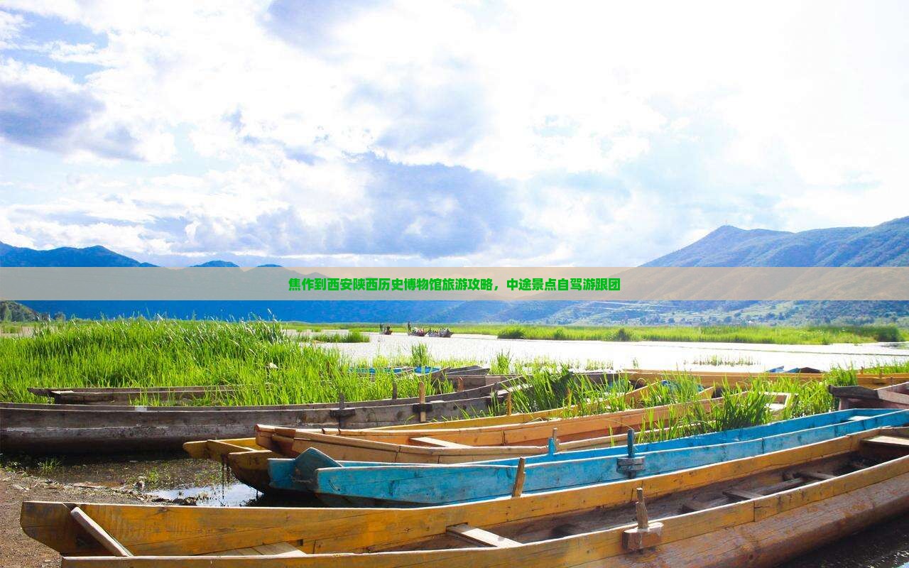 焦作到西安陕西历史博物馆旅游