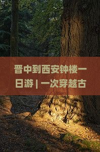 晋中到西安钟楼一日游