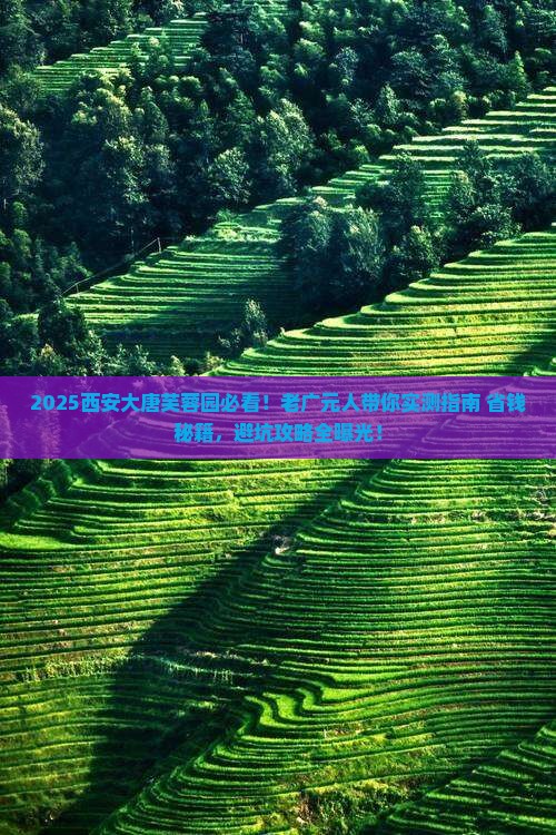 广元去西安大唐芙蓉园必去地