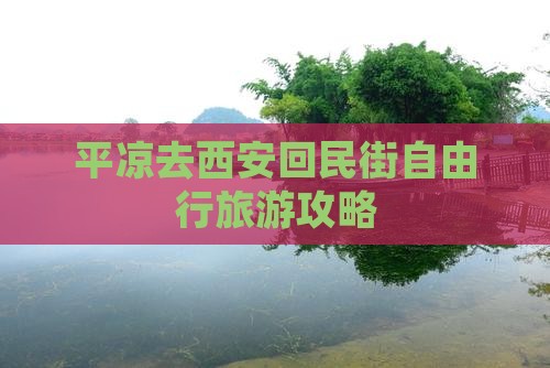 平凉去西安回民街自由行