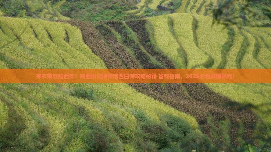 神农架去西安陕西历史博物馆四日游