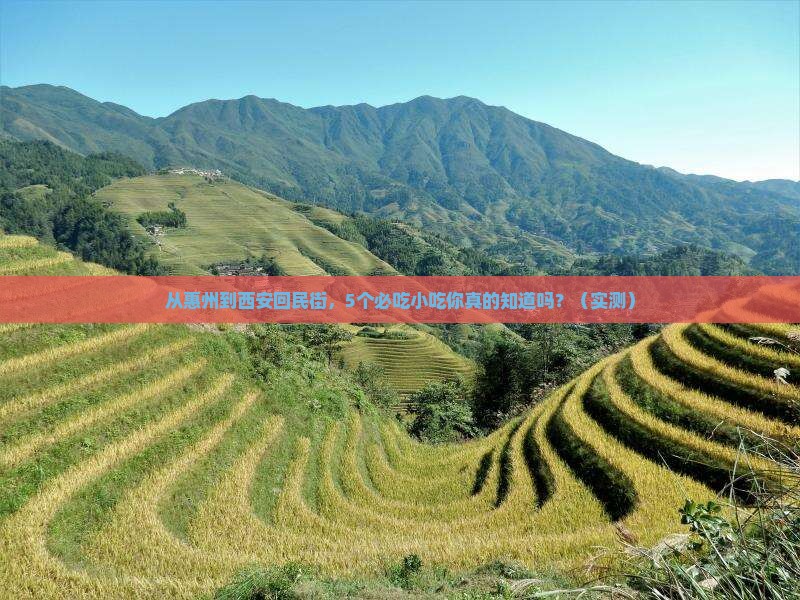 惠州去西安回民街旅游小吃