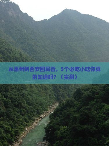 惠州去西安回民街旅游小吃