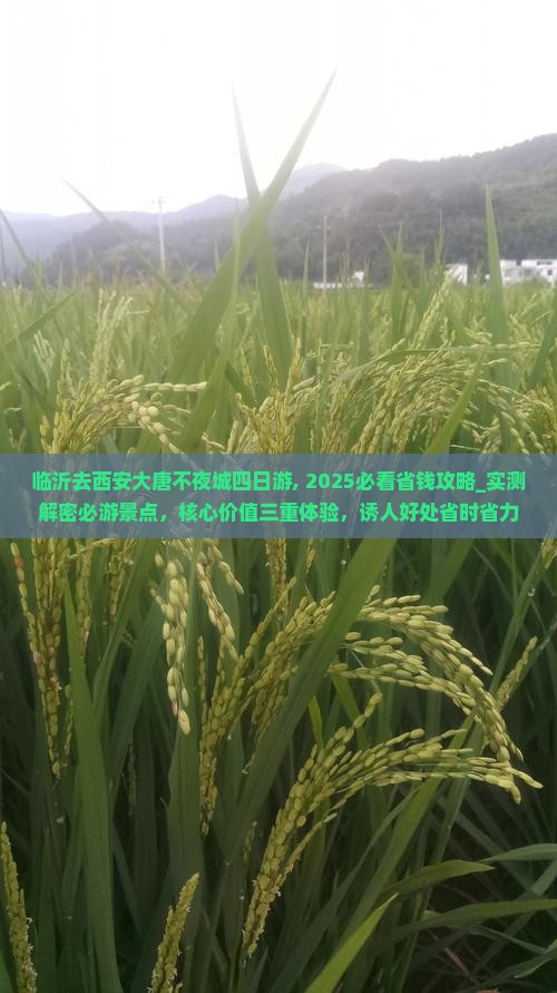 临沂去西安大唐不夜城四日游
