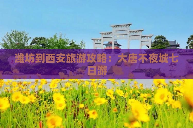 潍坊到西安大唐不夜城七日游