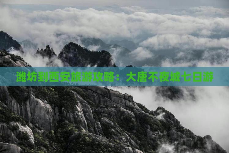 潍坊到西安大唐不夜城七日游