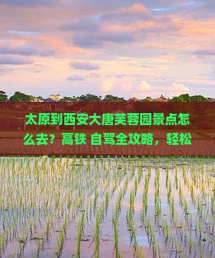 太原到西安大唐芙蓉园景点