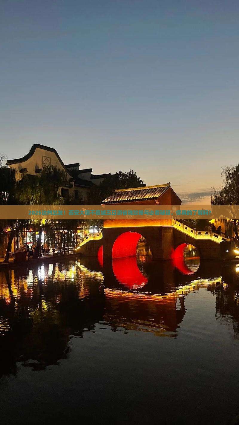 达州到西安大唐不夜城五日游