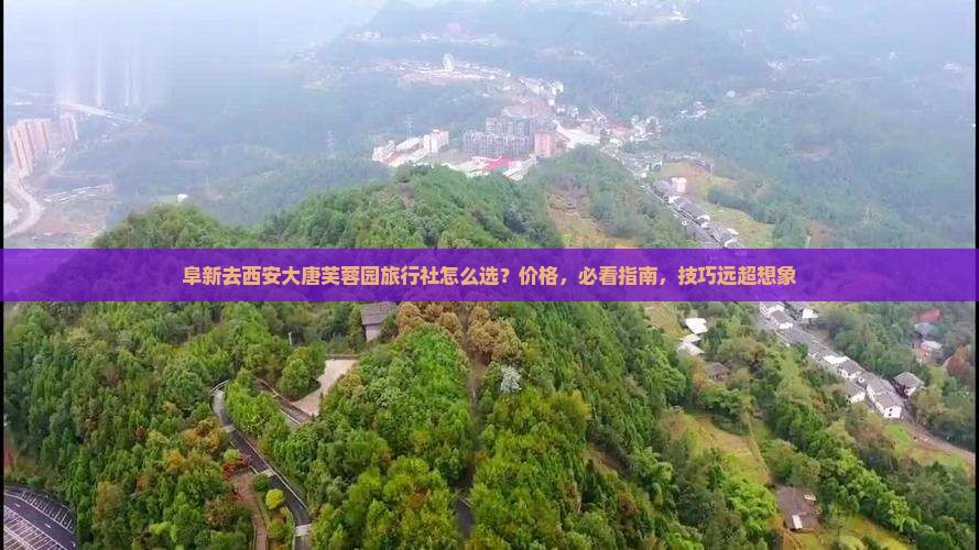 阜新去西安大唐芙蓉园旅行社