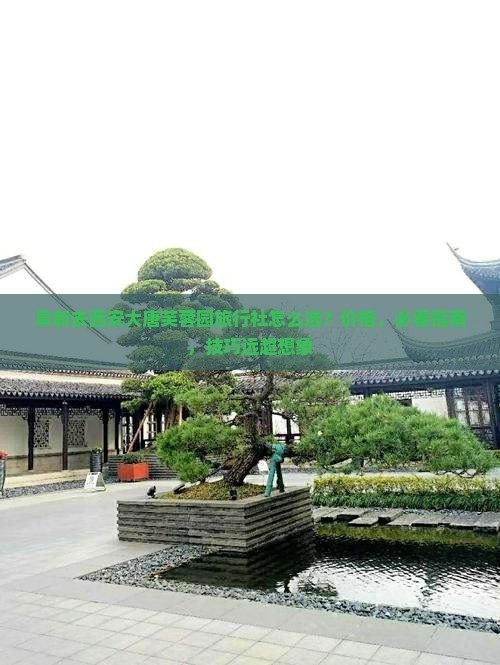 阜新去西安大唐芙蓉园旅行社