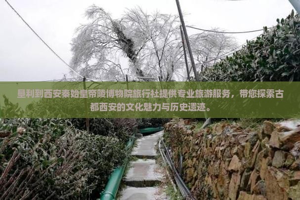 垦利到西安秦始皇帝陵博物院旅行社