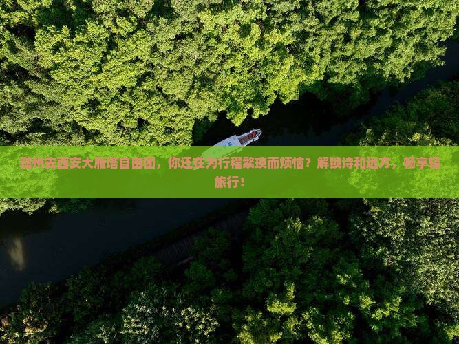 随州去西安大雁塔自由团