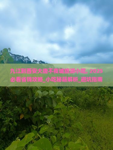 九江到西安大唐不夜城旅游小吃