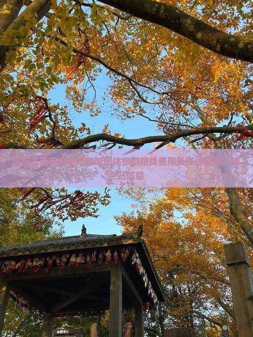 绵阳去西安大唐不夜城团体旅游 绵阳去西安大唐不夜城团体旅游