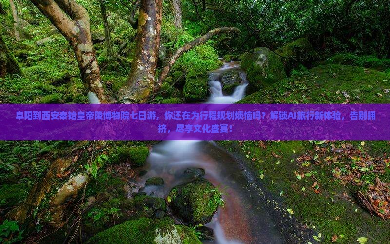 阜阳到西安秦始皇帝陵博物院七日游