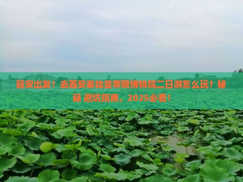 延安去西安秦始皇帝陵博物院二日游
